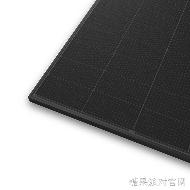 96片全黑双玻组件(210R)