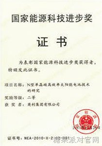 国家能源科技进步奖